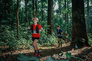 BIB: 
                            <button type="button" onclick="openModal(26131649)" class="btn btn-primary btn-sm float-right btn-popup" data-toggle="modal" data-target=".modal-high-quality">
                        <i class="fas fa-shopping-cart"></i> Add to Cart
                    </button>
                                            <button type="button" onclick="isThisMe(26131649, true)" class="btn btn-success btn-sm float-right btn-popup btn-isme hidden" data-toggle="tooltip" data-placement="bottom" title="นี่คือรูปของคุณใช่ไหม คลิกที่นี่เพื่อเอาเข้าอัลบั้ม">
                        <i class="fas fa-plus"></i> Add to album
                    </button>
                    <button type="button" onclick="isThisMe(26131649, false)" class="btn btn-warning btn-sm float-right btn-popup btn-isnotme hidden">
                        <i class="fas fa-ban"></i> Remove from album
                    </button>